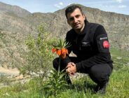Bayraktar Böyle İşte