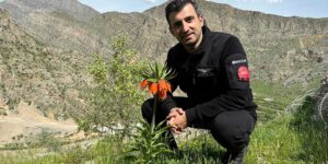 Bayraktar Böyle İşte