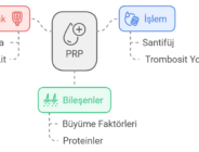 PRP ile Diz Tedavisi