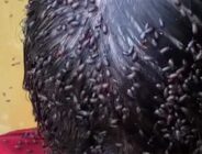Çamurlu Suya Girince