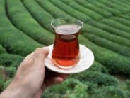 Çay Paketinden Beklenmedik Bir Madde Çıktı.
